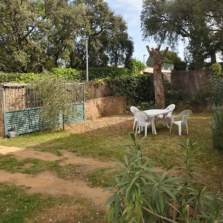 Vakantiehuis Pals Mas Tomasi *